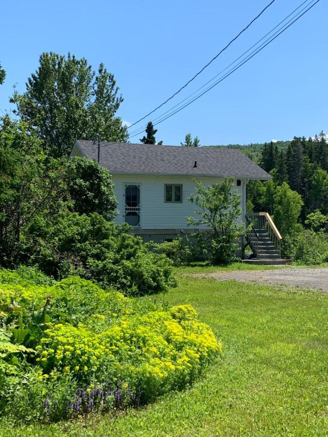 Chalets Les Chanterelles De Forillon L'Anse-au-Griffon Extérieur photo