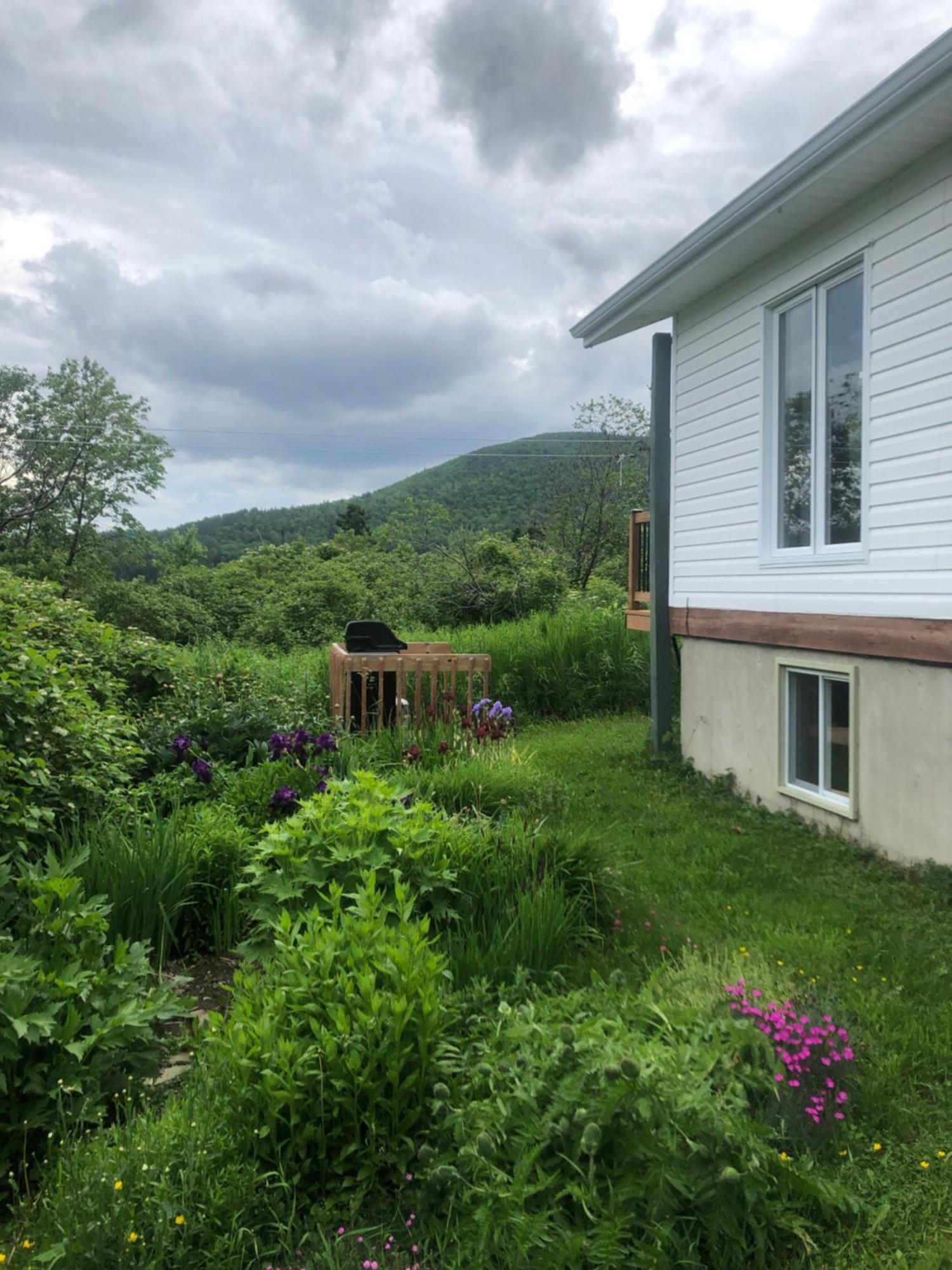 Chalets Les Chanterelles De Forillon L'Anse-au-Griffon Extérieur photo